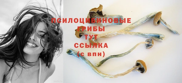 2c-b Бугульма