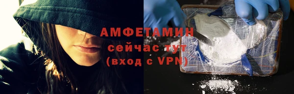 хмурый Бородино