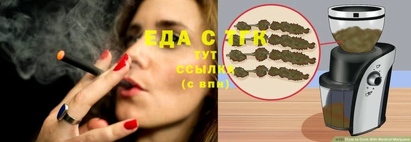 хмурый Бородино