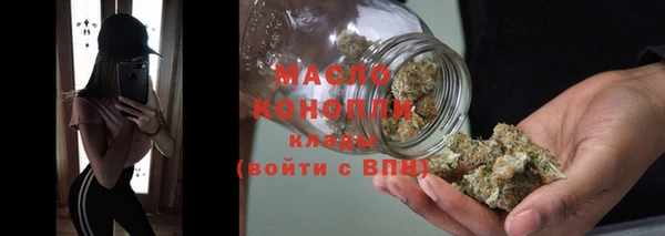 хмурый Бородино