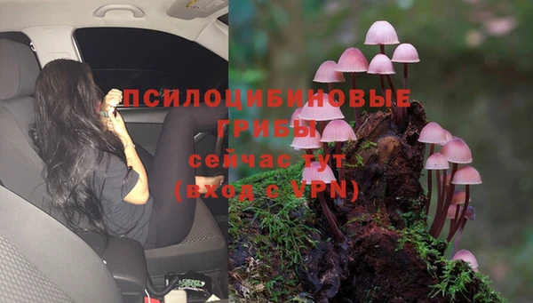 2c-b Бугульма