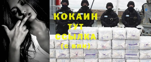 хмурый Бородино