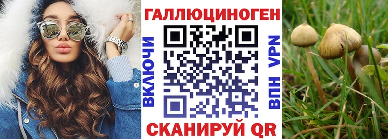 Галлюциногенные грибы мухоморы Минусинск